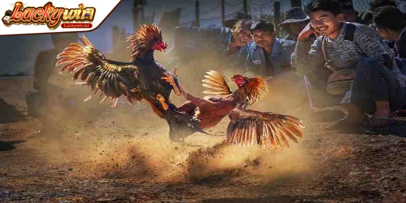 Đúc rút những kinh nghiệm quý báu nhằm đặt cược hiệu quả, nhanh thắng lợi